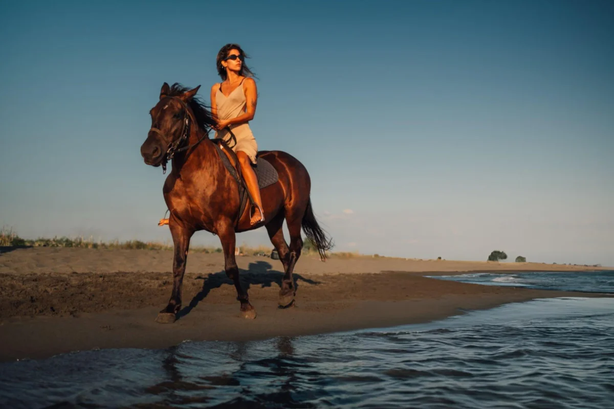 Horse riding in Hurghada